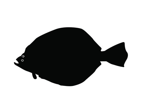 Flounder Halibut Fish Svg Png Jpeg Cut File Digital Download Etsy