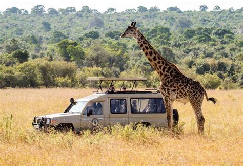 4 Days Lodge Safari Tour In Tanzania Serengeti Wildebeest Migration And Ngorongoro Crater
