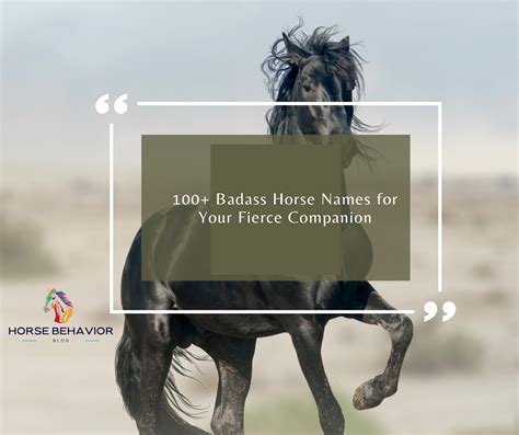 100 Badass Horse Names For Your Fierce Companion Horse Behavior Blog