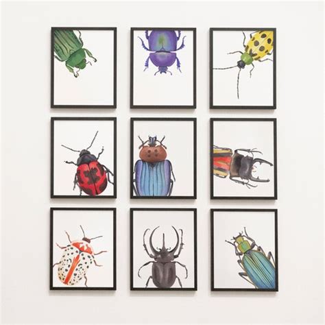 Insects Gallery Wall Elementary School Middle School Etsy