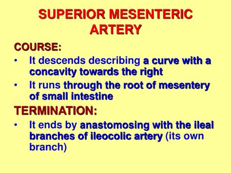 Ppt Arterial Supply Of Midgut And Hindgut Powerpoint Presentation Id3069903