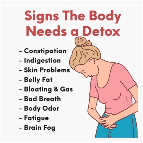 Signs The Body Needs A Detox Food Facts Food Pyramid