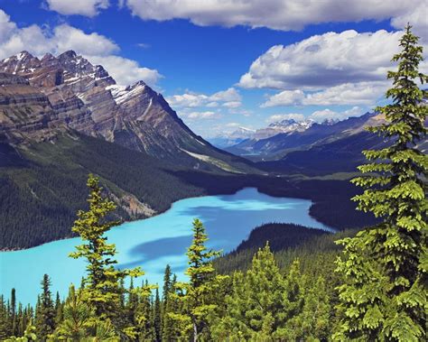 Banff National Park Canada Moraine Lake Landscape Blue Lake Crude Rocky