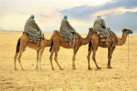 Caravana De Camelos No Deserto Saara Tunísia — Fotografias De Stock