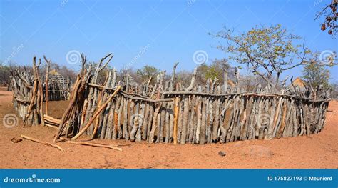 Traditional Wooden Kraal Or Enclosure Stock Image Image Of Cattle