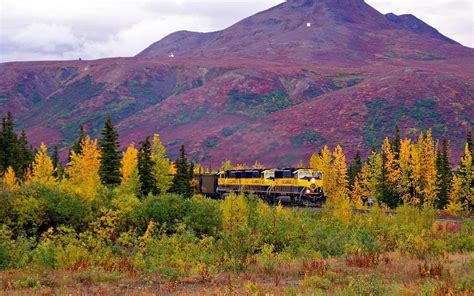 Alaska Railroad Locomotive Trains America Autumn Mountains