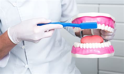 Odontología Preventiva Imed Dental