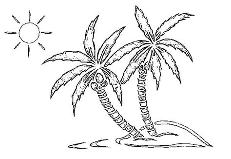 Coloriage Plage Palmiers Palmiers 5 Tree Coloring Page Palm Tree