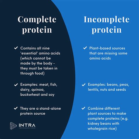 Protein Nutrition For Human Performance Intra Performance Group