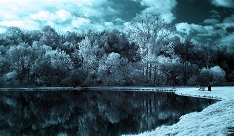 Wallpaper Lake Trees Clouds Dark Black And White 2560x1490