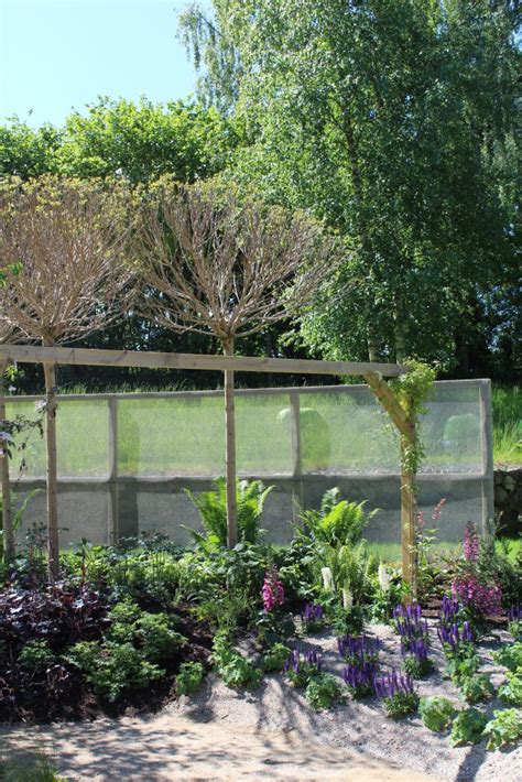 We did not find results for: Gartengestaltung im Herbst - Hier kommen sechs Tipps!