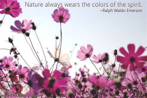 Nature Quotes Wallpaper