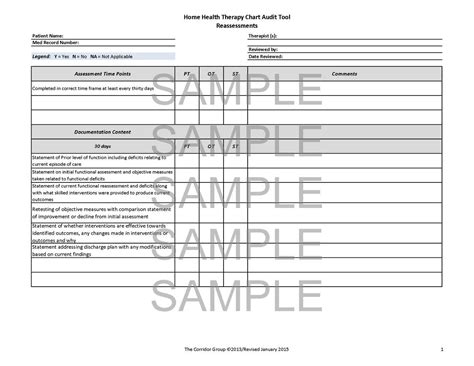 Therapy Chart Audit Tools