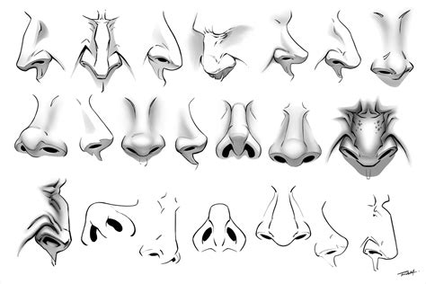 procreate nose stamps 21 brushes comic style noses templates for artists digital art guides