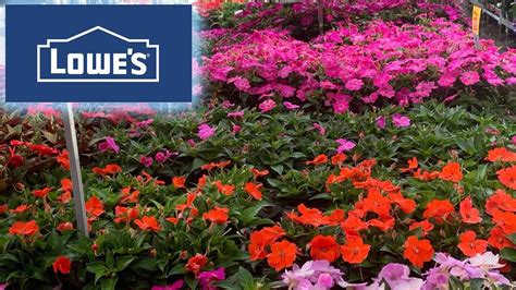 Lowes Garden Center Inventory May 2023 Youtube