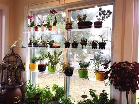Diy 20 Ideas Of Window Herb Garden For Your Kitchen Indoor Plant