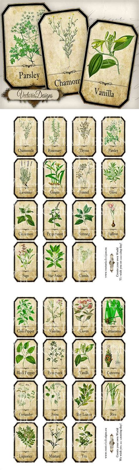 Herbs Apothecary Labels Printable Labels Spice Jar Labels Etsy