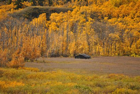 Best Time To See Montana Fall Colors 2022 When To See Roveme
