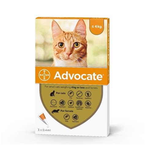 Advocate For Cats — Flea Treatment Vetscriptions