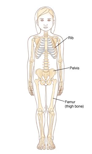 The cancerous cells are mainly found in the bones and soft tissues. When Your Child Has Ewing Sarcoma | Saint Luke's Health System