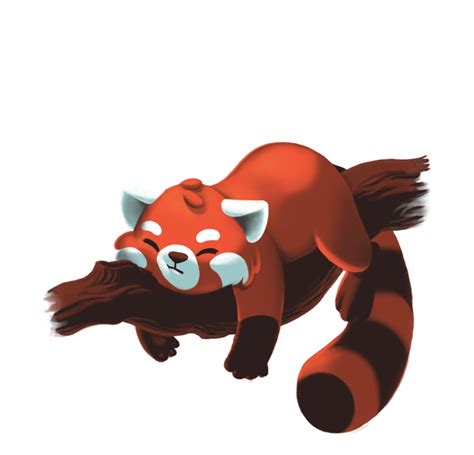 Clip Art Red Panda 20 Free Cliparts Download Images On Clipground 2021