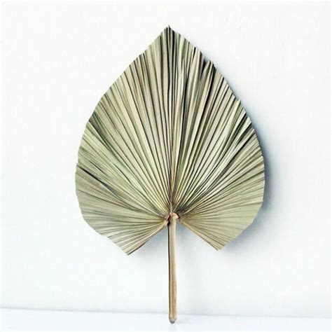 Natural Dried Palm Leaf 1x Large Heart Dried Flower Arrangements