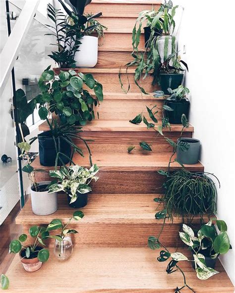 10 Ways To Add Botanical Trends For Minimalist Stairs Obsigen