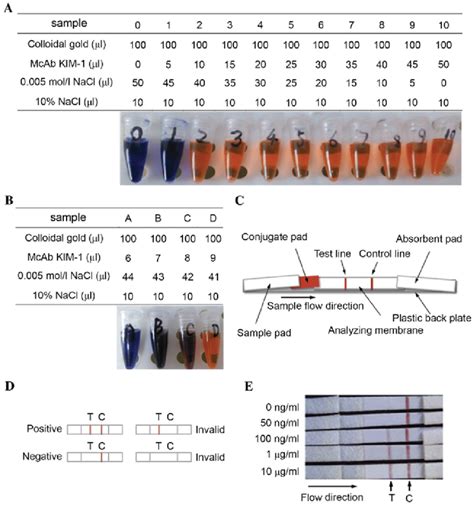 Development Of A Colloidal Gold Based Immunochromatographic Strip For