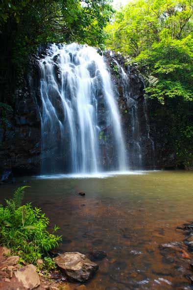 Elinjaa Falls Waterval Tableland Queensland Australia Heleenklop