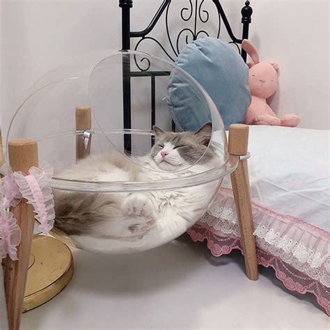 Space Capsule Transparent Cat Bed Apollobox