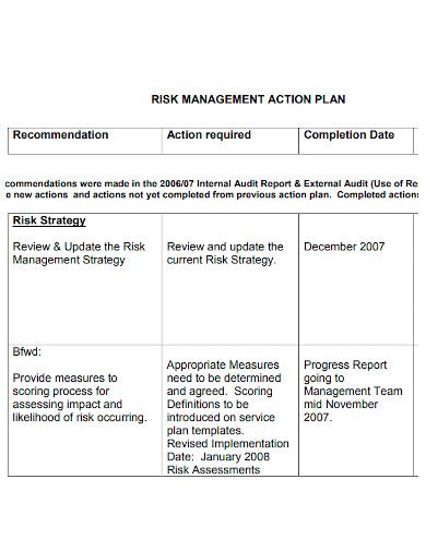 Free 10 Risk Action Plan Samples Control Management Mitigation