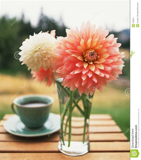 Coffee flower valentines flower images cute mugs mad tea party coffee love flower tea tea art floral. Coffee and flowers stock image. Image of table, flowers ...