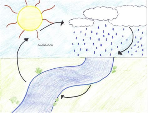 Evaporation Water Cycle