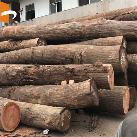 Brown Hardwood Log At Rs 650quintal Pathankot Bungal Id 20659744362