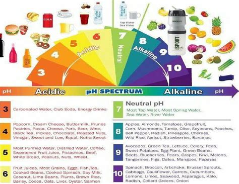 Alkalinity Chart Acidic Food Chart Acidic And Alkaline Foods Acid And Alkaline Alkaline Body