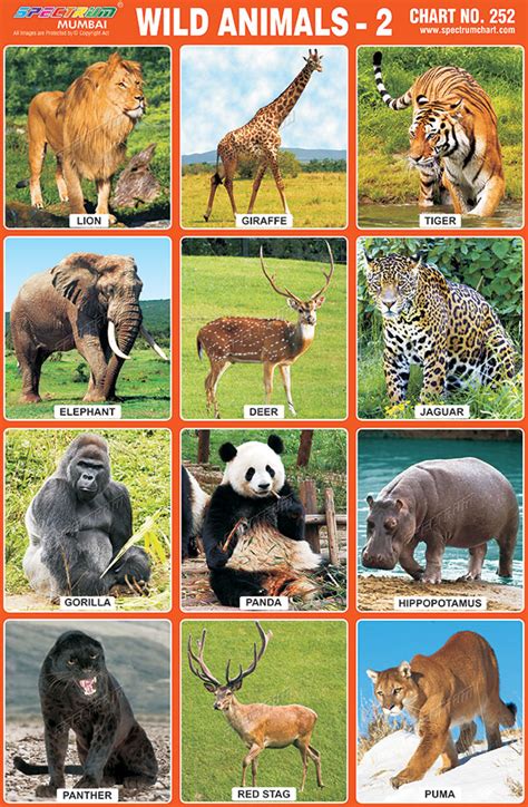 Educational Chart Wild Animals Farm Animals