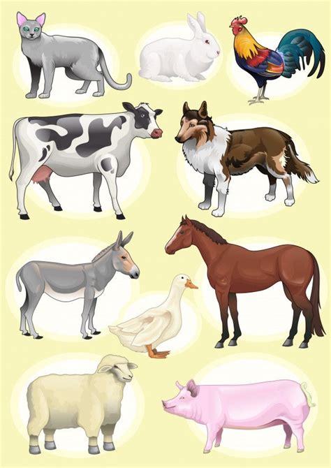 Premium Vector Set Realistic Farm Animals Animal Pictures For Kids