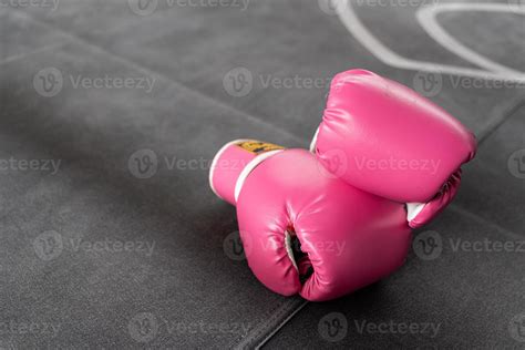 Pink Boxing Gloves For Girl And Woman Fight With Copy Space 11547951