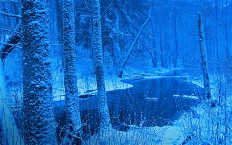 Nature Landscape Winter Forest River Snow Trees Blue Cold