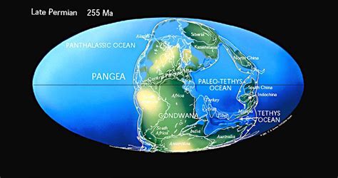 Global Warming At The Permian Triassic Boundary News Astrobiology