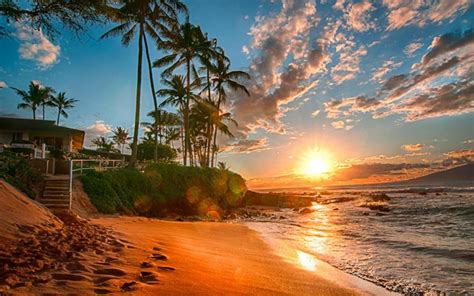 Hawaii Exotic Wallpaper Hd Sea Sand Beach Palms Green Sky