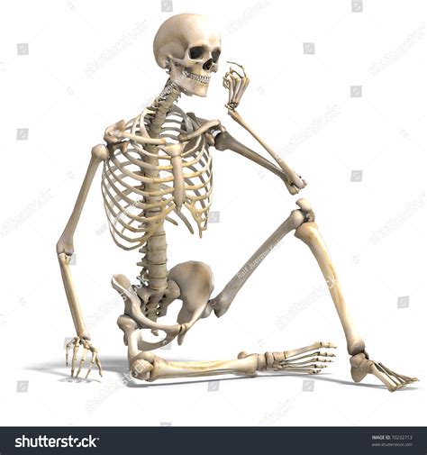 Anatomical Correct Male Skeleton 3d Rendering Stock Illustration ...