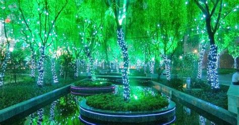 Magical Forest In Shanghai I Have Not Been To Shanghai But It Is On My