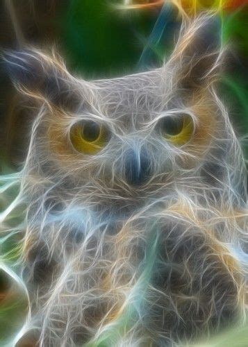 Energetic Owl