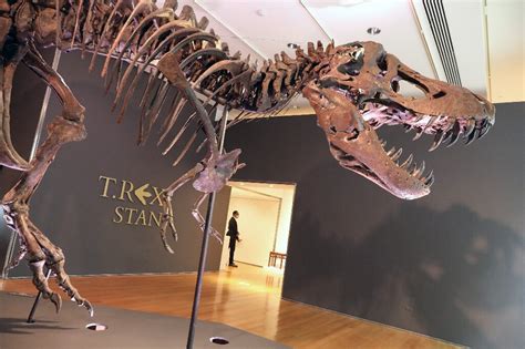 T is listed in the world's largest and most authoritative dictionary database of abbreviations and acronyms. T-Rex fossil sells for record-breaking $31.8 mn