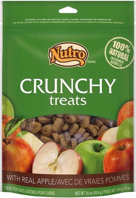 Nutro Crunchy Real Apple Dog Treats 16 Oz Bag
