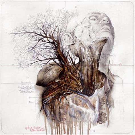All are labelled clearly as to what sections they relate to. Beautiful drawings that combine the human body with nature