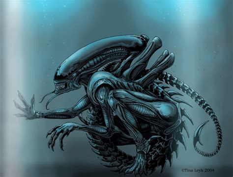 Xenomorph Monster Wiki Fandom Powered By Wikia