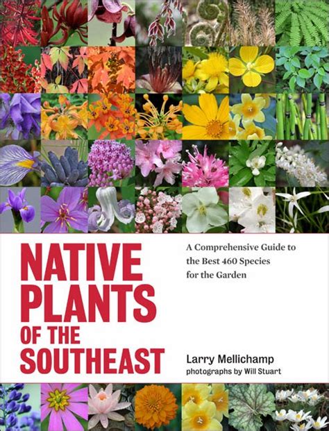 Using Georgia Native Plants Native Plants Of The Southeast The Book