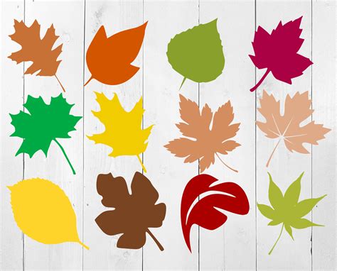 Leaves Wreath Svg Fall Leaves Svg Autumn Leaves Svg Leaf Cricut File